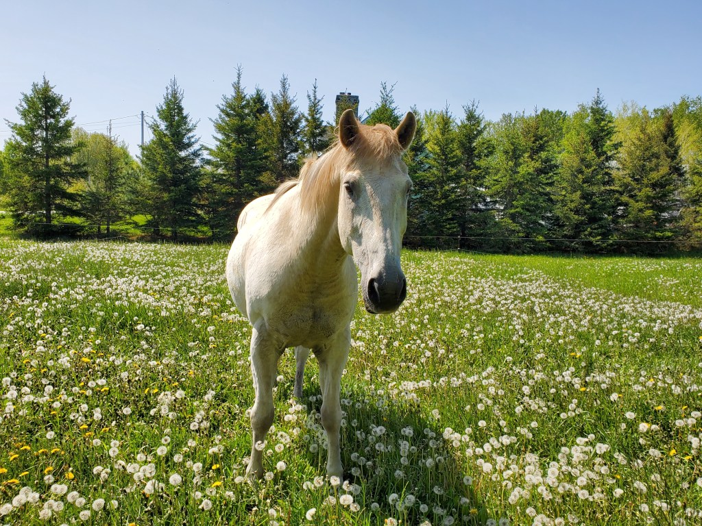 Se sortir des schémas dictés par les 5&nbsp;blessures