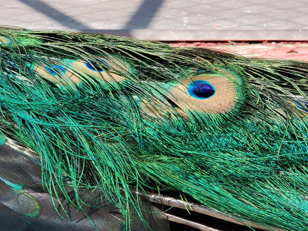 Un 10 secondes bien&nbsp;investi